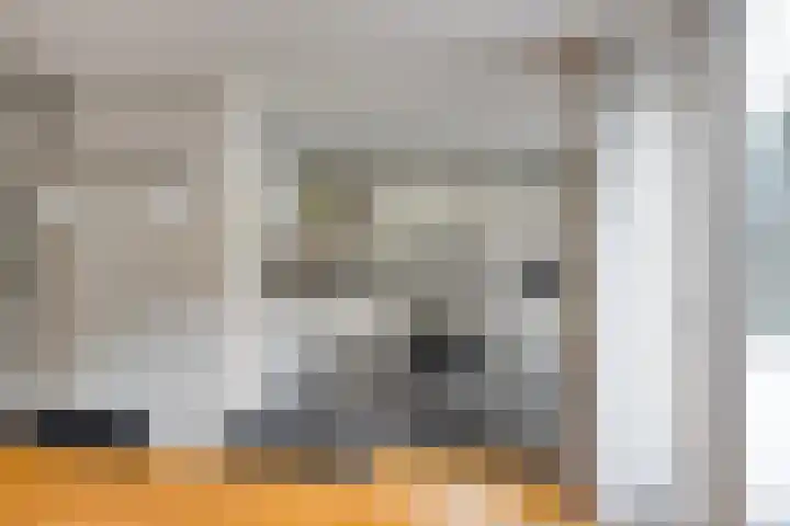 Gaspeldoornlaan 22 Valkenswaard thumbnail 12