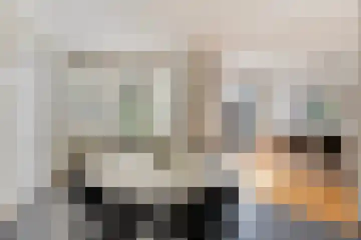 Gaspeldoornlaan 22 Valkenswaard thumbnail 13