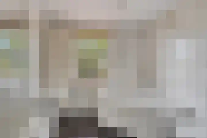Gaspeldoornlaan 22 Valkenswaard thumbnail 21