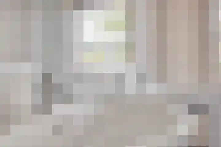Gaspeldoornlaan 22 Valkenswaard thumbnail 22