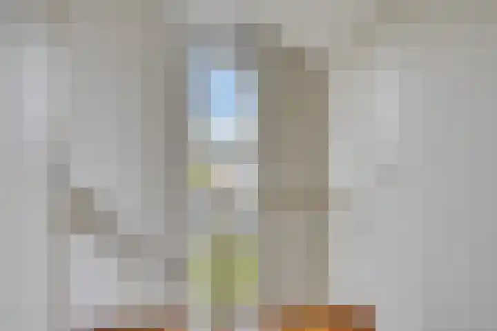 Gaspeldoornlaan 22 Valkenswaard thumbnail 26