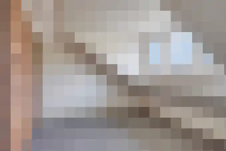 Gaspeldoornlaan 22 Valkenswaard thumbnail 27