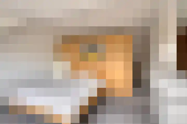 Gaspeldoornlaan 22 Valkenswaard thumbnail 29