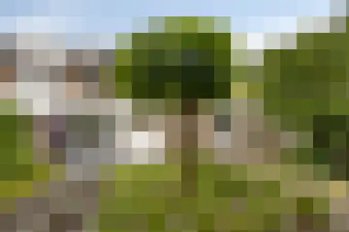 Gaspeldoornlaan 22 Valkenswaard thumbnail 30