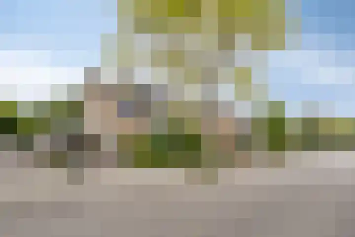 Gaspeldoornlaan 22 Valkenswaard thumbnail 32