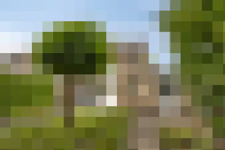 Gaspeldoornlaan 22 Valkenswaard thumbnail 33