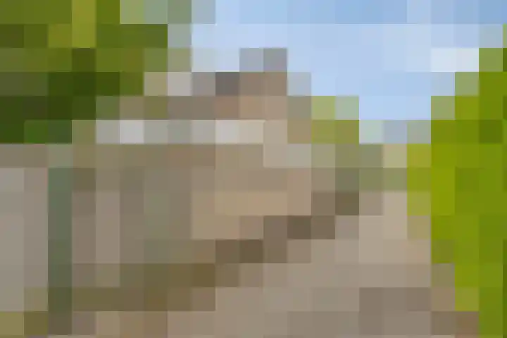 Gaspeldoornlaan 22 Valkenswaard thumbnail 36