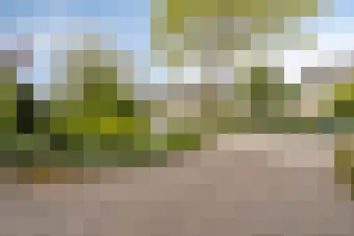Gaspeldoornlaan 22 Valkenswaard thumbnail 39
