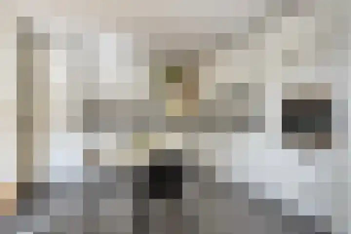 Gaspeldoornlaan 22 Valkenswaard thumbnail 4
