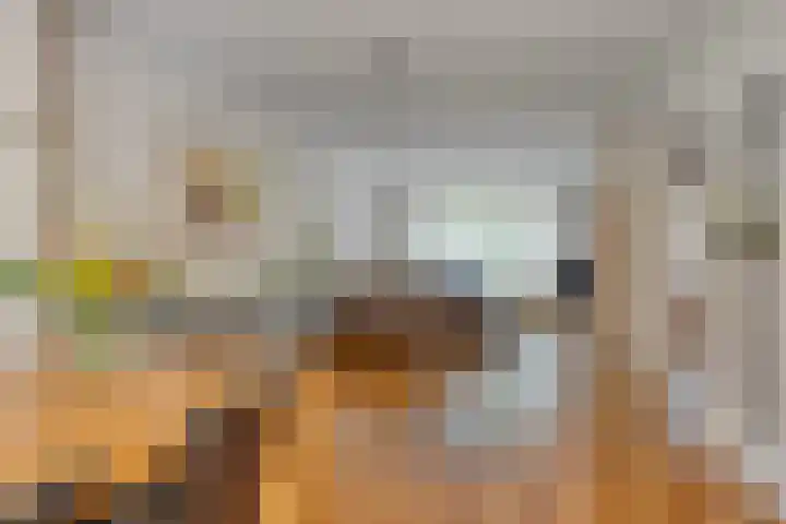 Gaspeldoornlaan 22 Valkenswaard thumbnail 6