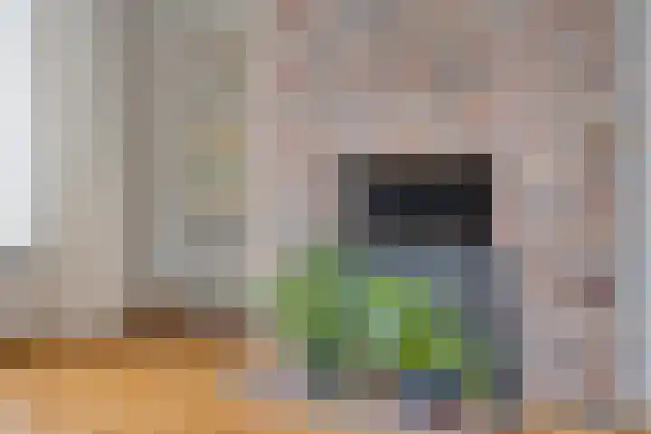 Gaspeldoornlaan 22 Valkenswaard thumbnail 8