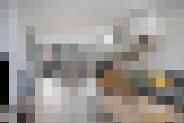 Gaspeldoornlaan 36 Eindhoven thumbnail 10