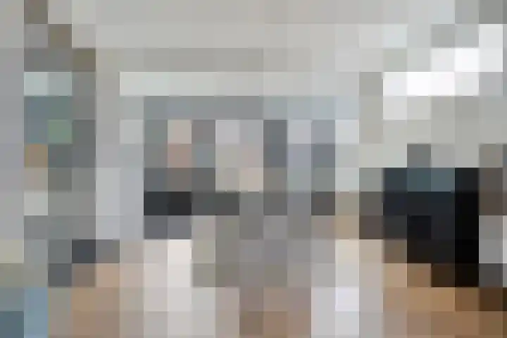 Gaspeldoornlaan 36 Eindhoven thumbnail 11
