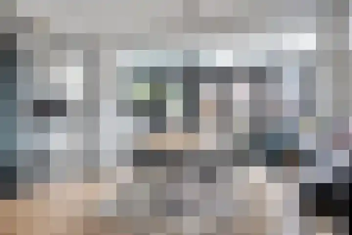 Gaspeldoornlaan 36 Eindhoven thumbnail 12