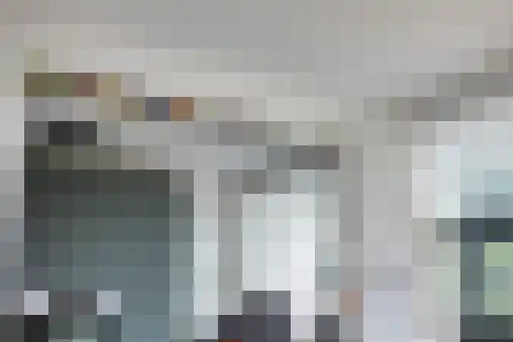 Gaspeldoornlaan 36 Eindhoven thumbnail 13