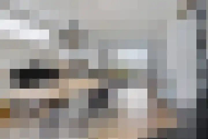 Gaspeldoornlaan 36 Eindhoven thumbnail 14