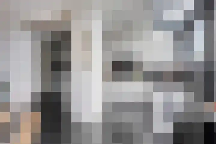 Gaspeldoornlaan 36 Eindhoven thumbnail 15