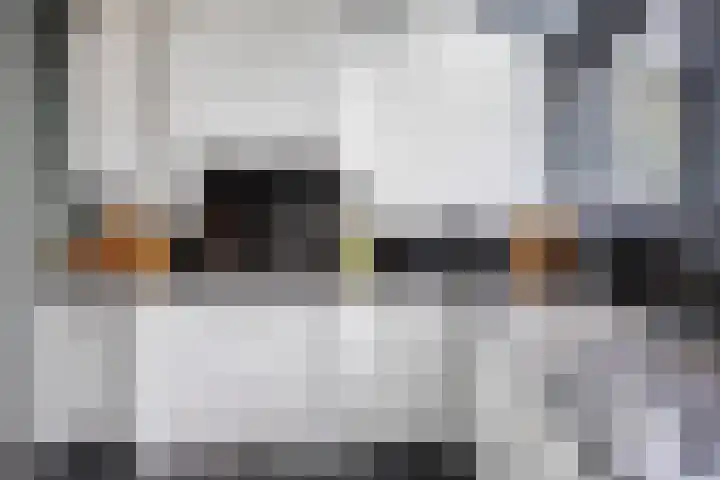 Gaspeldoornlaan 36 Eindhoven thumbnail 16