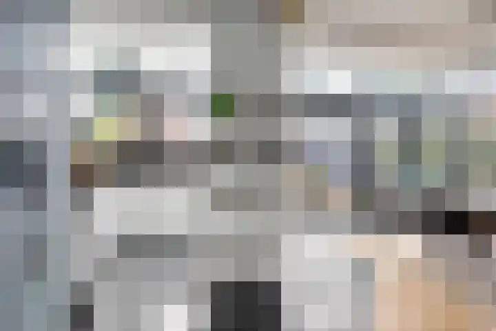 Gaspeldoornlaan 36 Eindhoven thumbnail 17