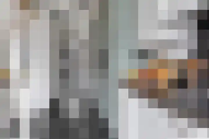 Gaspeldoornlaan 36 Eindhoven thumbnail 19