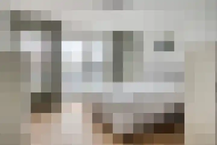Gaspeldoornlaan 36 Eindhoven thumbnail 21