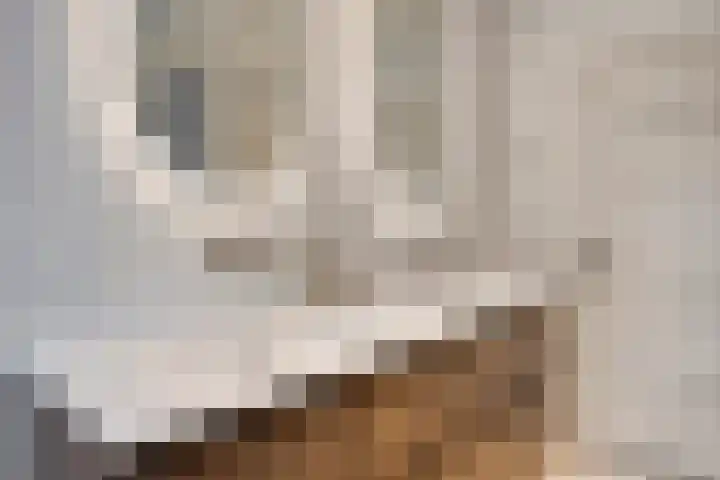 Gaspeldoornlaan 36 Eindhoven thumbnail 26
