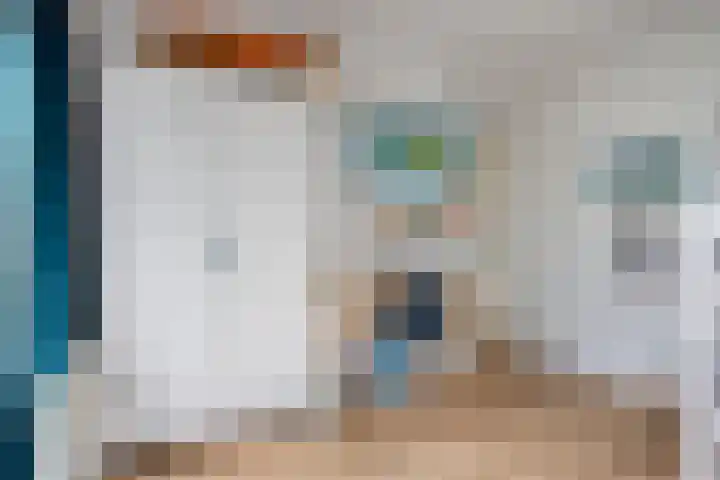 Gaspeldoornlaan 36 Eindhoven thumbnail 29