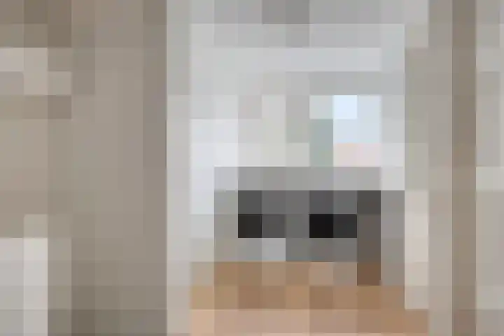 Gaspeldoornlaan 36 Eindhoven thumbnail 32