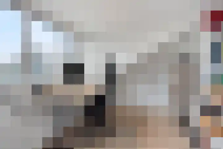 Gaspeldoornlaan 36 Eindhoven thumbnail 36