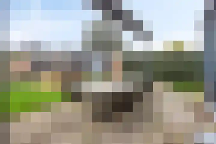 Gaspeldoornlaan 36 Eindhoven thumbnail 38