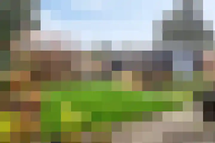 Gaspeldoornlaan 36 Eindhoven thumbnail 39