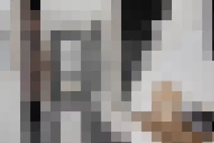 Gaspeldoornlaan 36 Eindhoven thumbnail 4