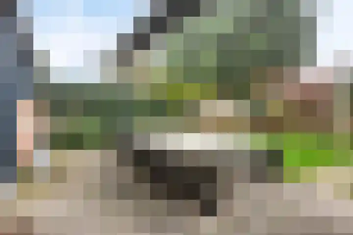 Gaspeldoornlaan 36 Eindhoven thumbnail 40