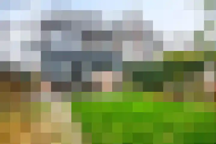 Gaspeldoornlaan 36 Eindhoven thumbnail 41