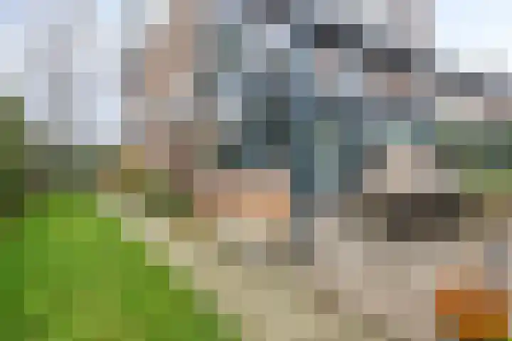 Gaspeldoornlaan 36 Eindhoven thumbnail 42