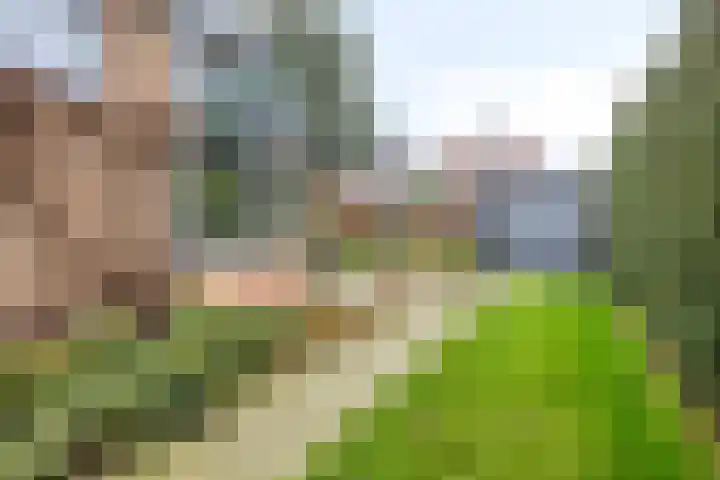 Gaspeldoornlaan 36 Eindhoven thumbnail 43