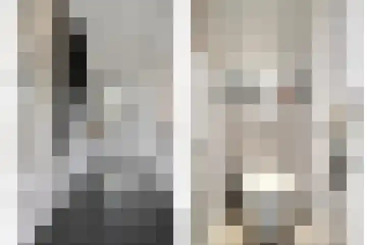 Gaspeldoornlaan 36 Eindhoven thumbnail 5