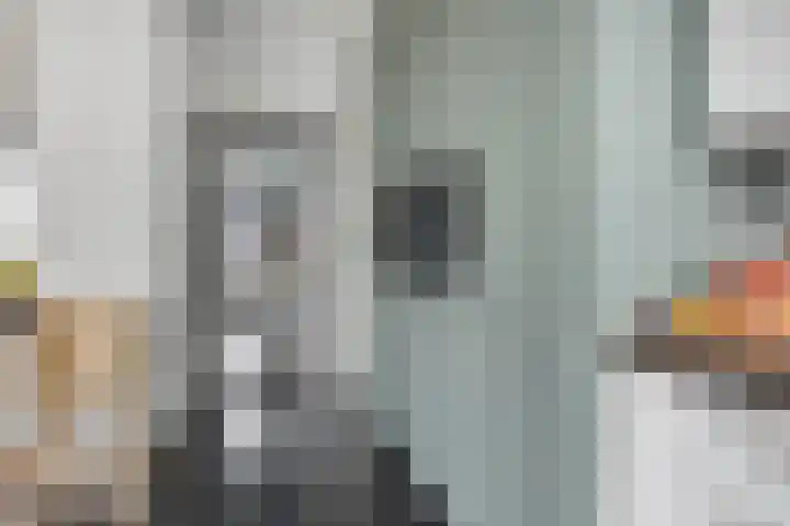 Gaspeldoornlaan 36 Eindhoven thumbnail 6
