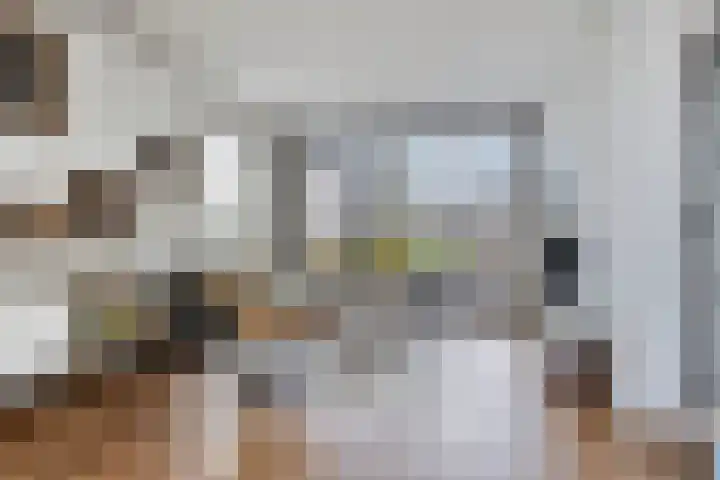 Gaspeldoornlaan 36 Eindhoven thumbnail 7