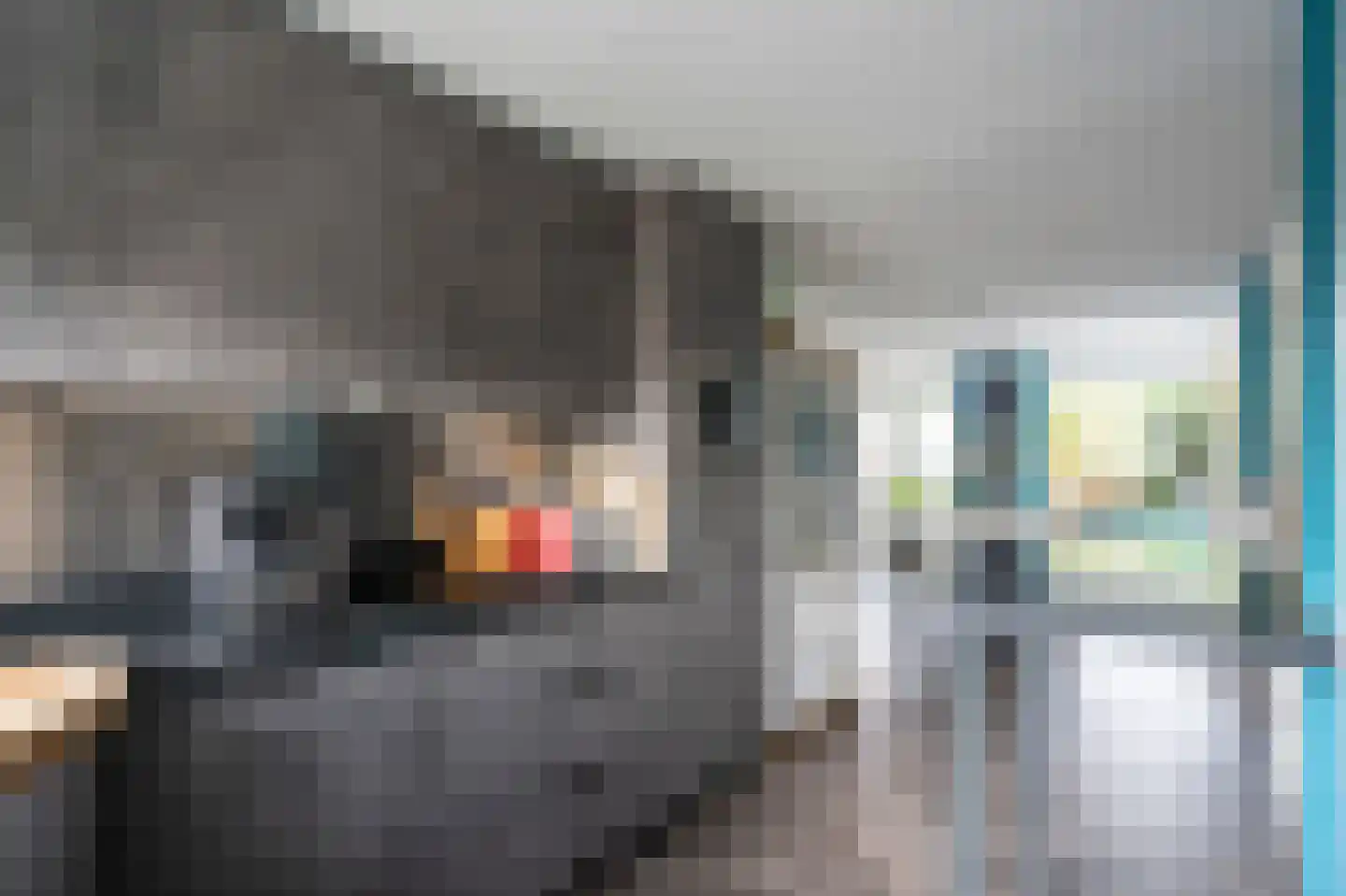 Gaspelwede 2 Barendrecht thumbnail 12