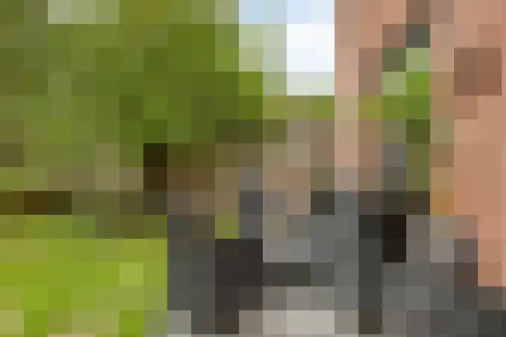 Gaspelwede 20 Barendrecht thumbnail 24