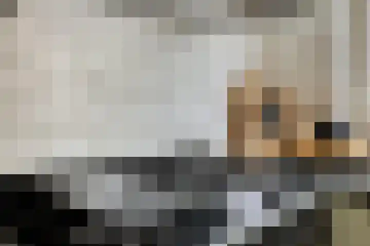 Gaspelwede 20 Barendrecht thumbnail 8
