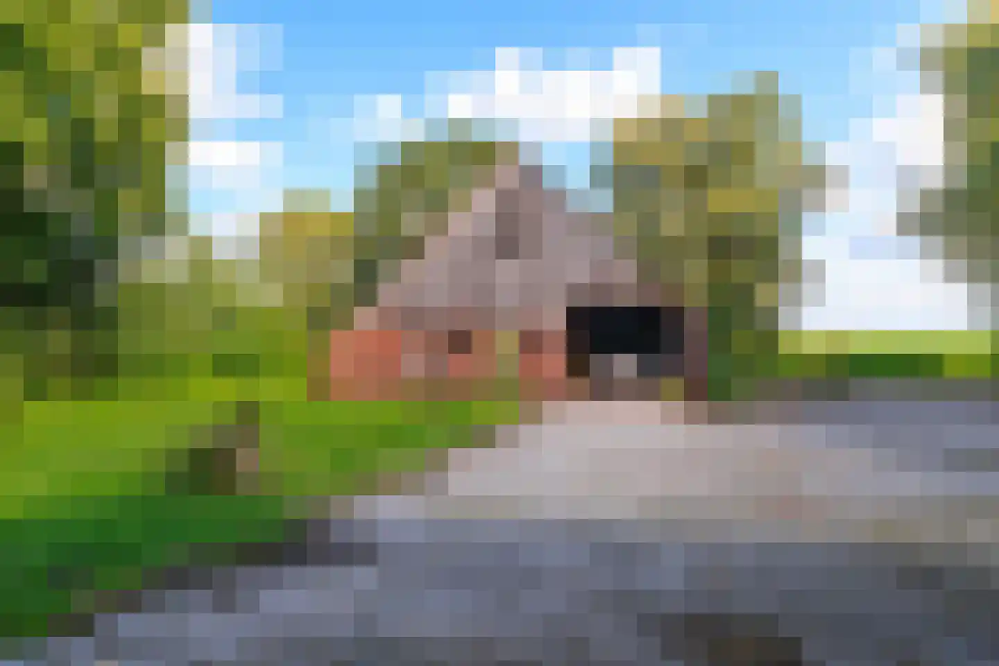 Gasselterboerveen 26 Gasselternijveen thumbnail 39