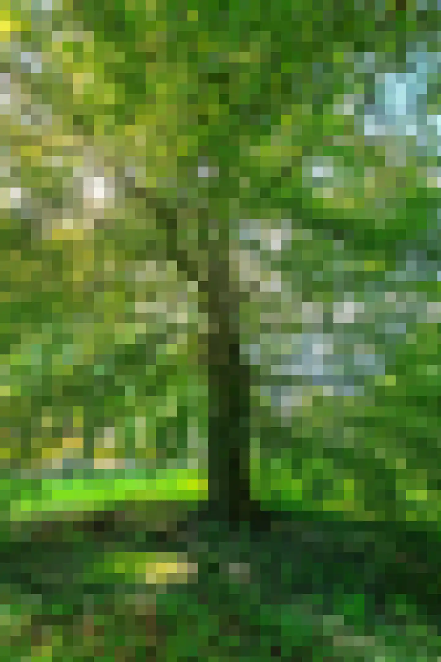 Gasselterboerveen 26 Gasselternijveen thumbnail 47