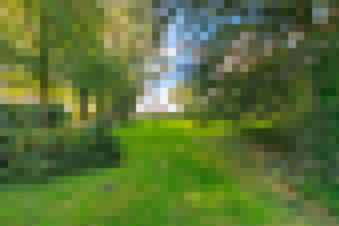 Gasselterboerveen 26 Gasselternijveen thumbnail 6