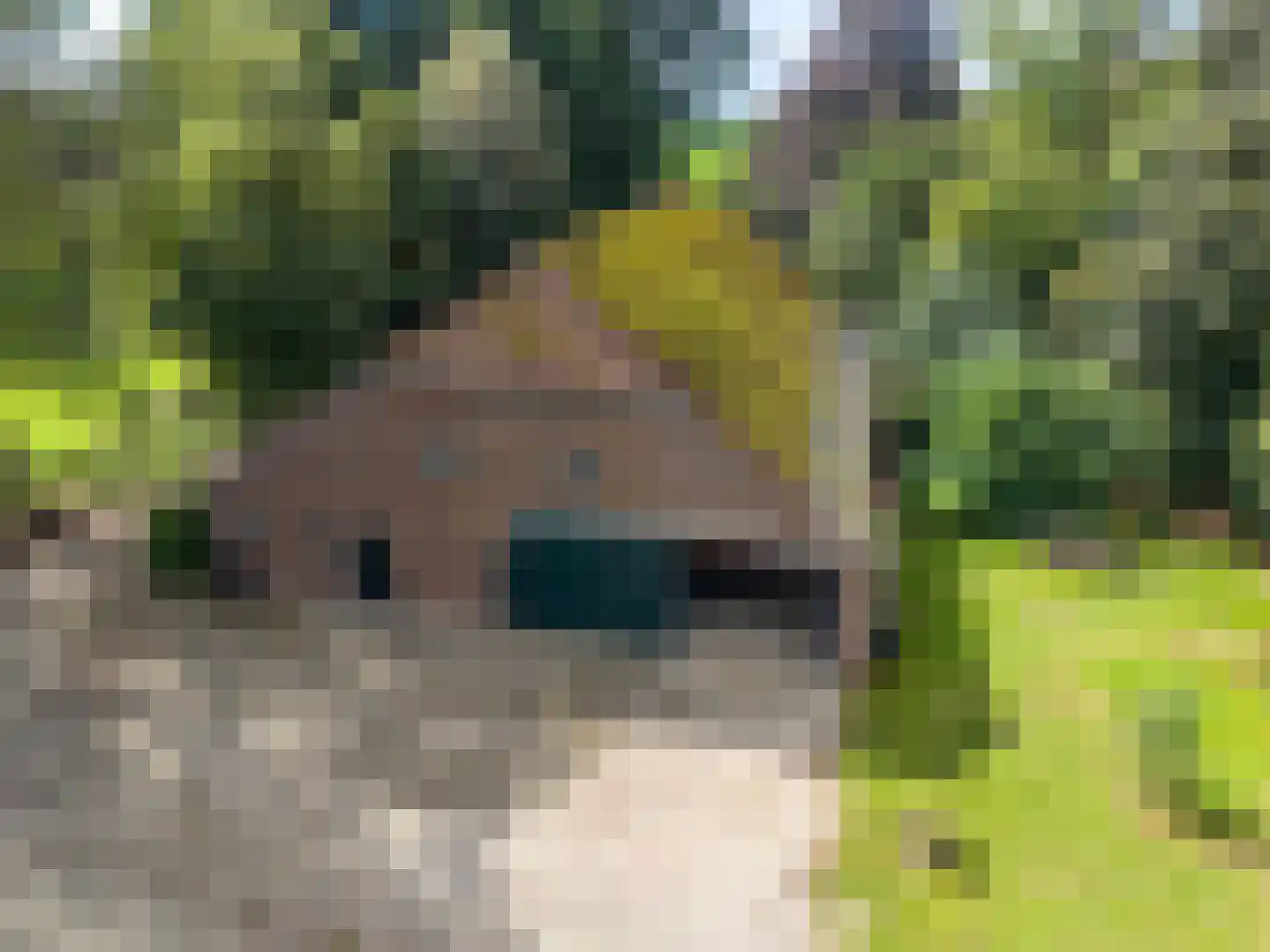 Gasselterboerveen 26 Gasselternijveen thumbnail 9