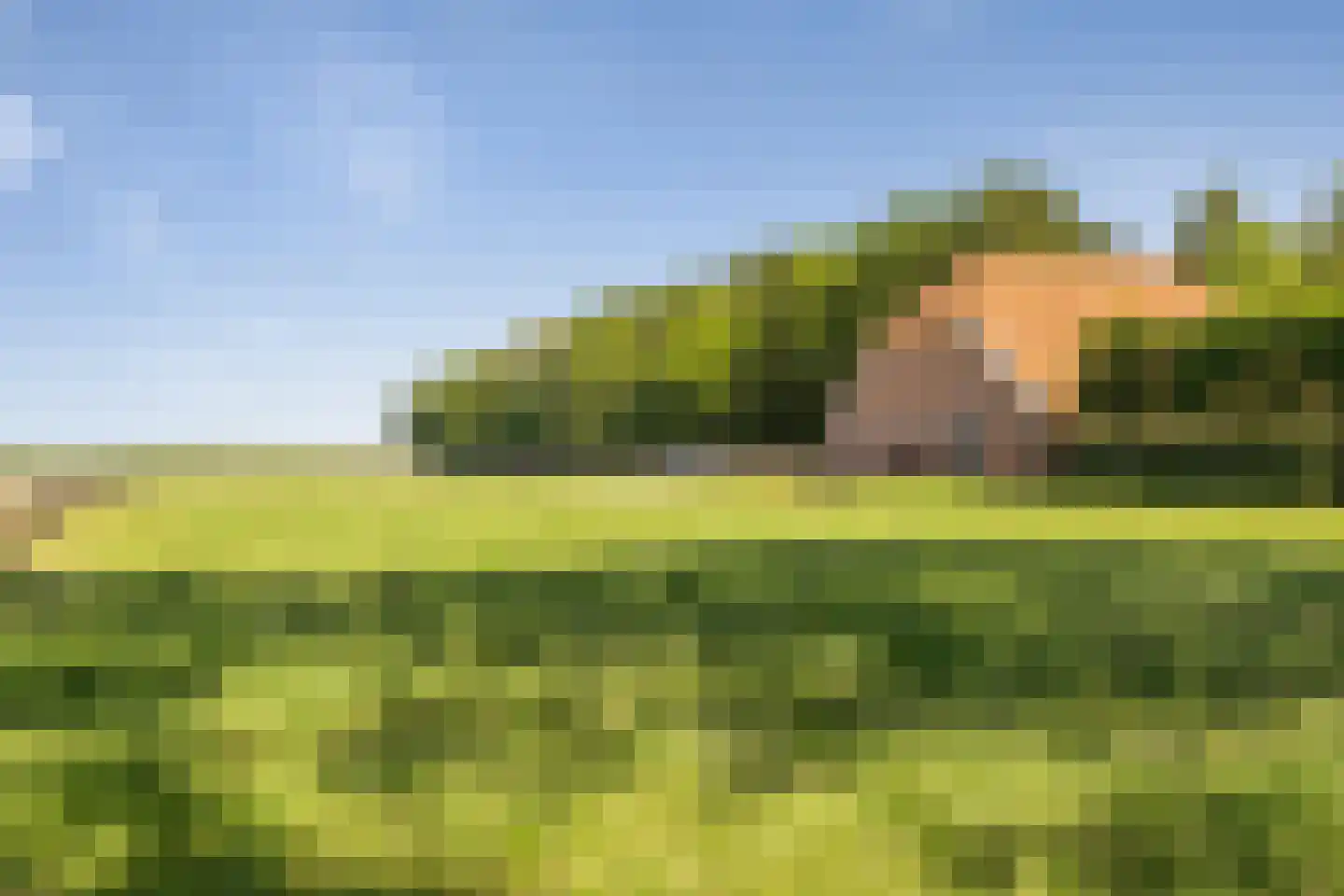 Gasselterstraat 3 Bronnegerveen thumbnail 10