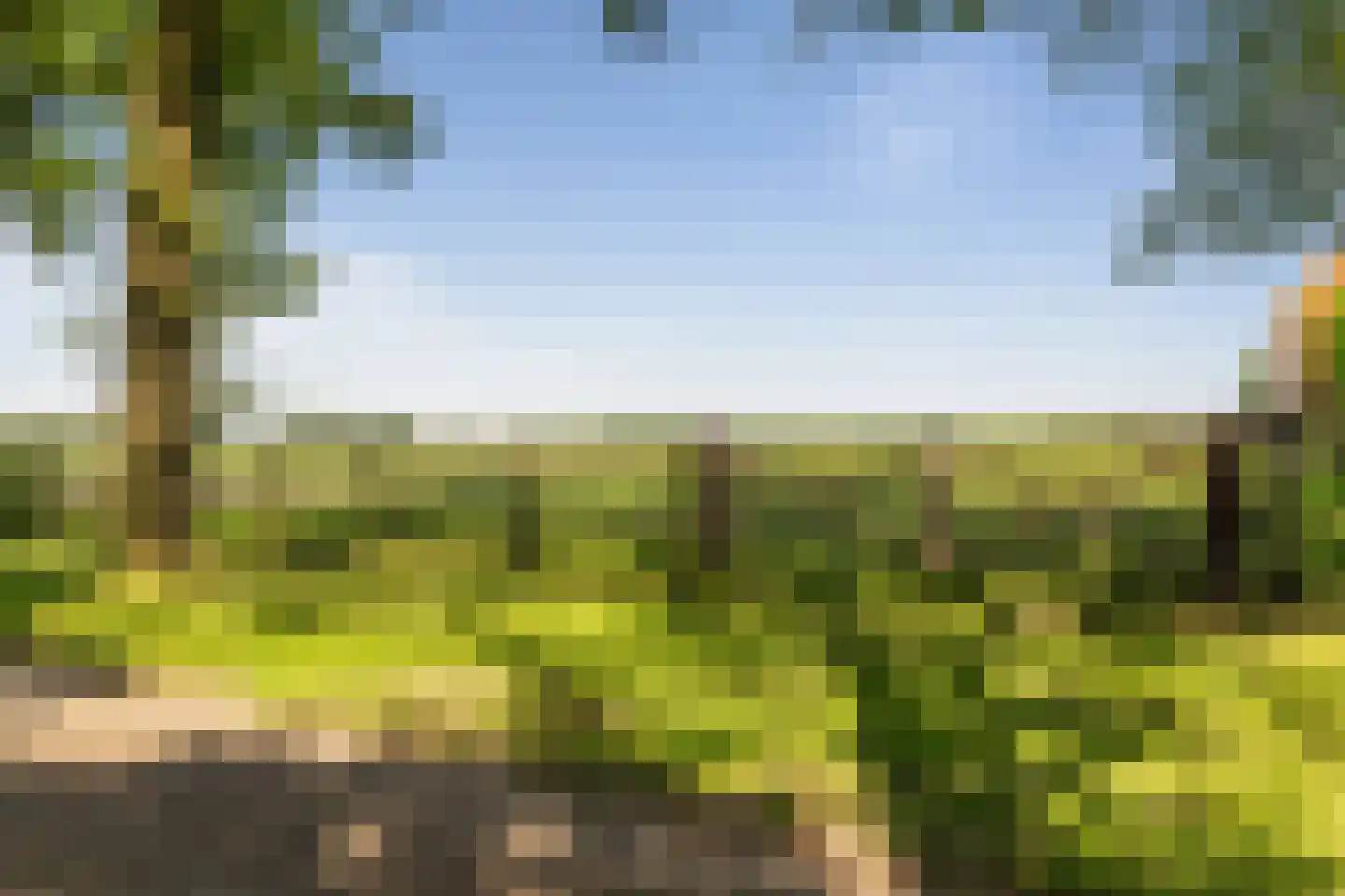 Gasselterstraat 3 Bronnegerveen thumbnail 12