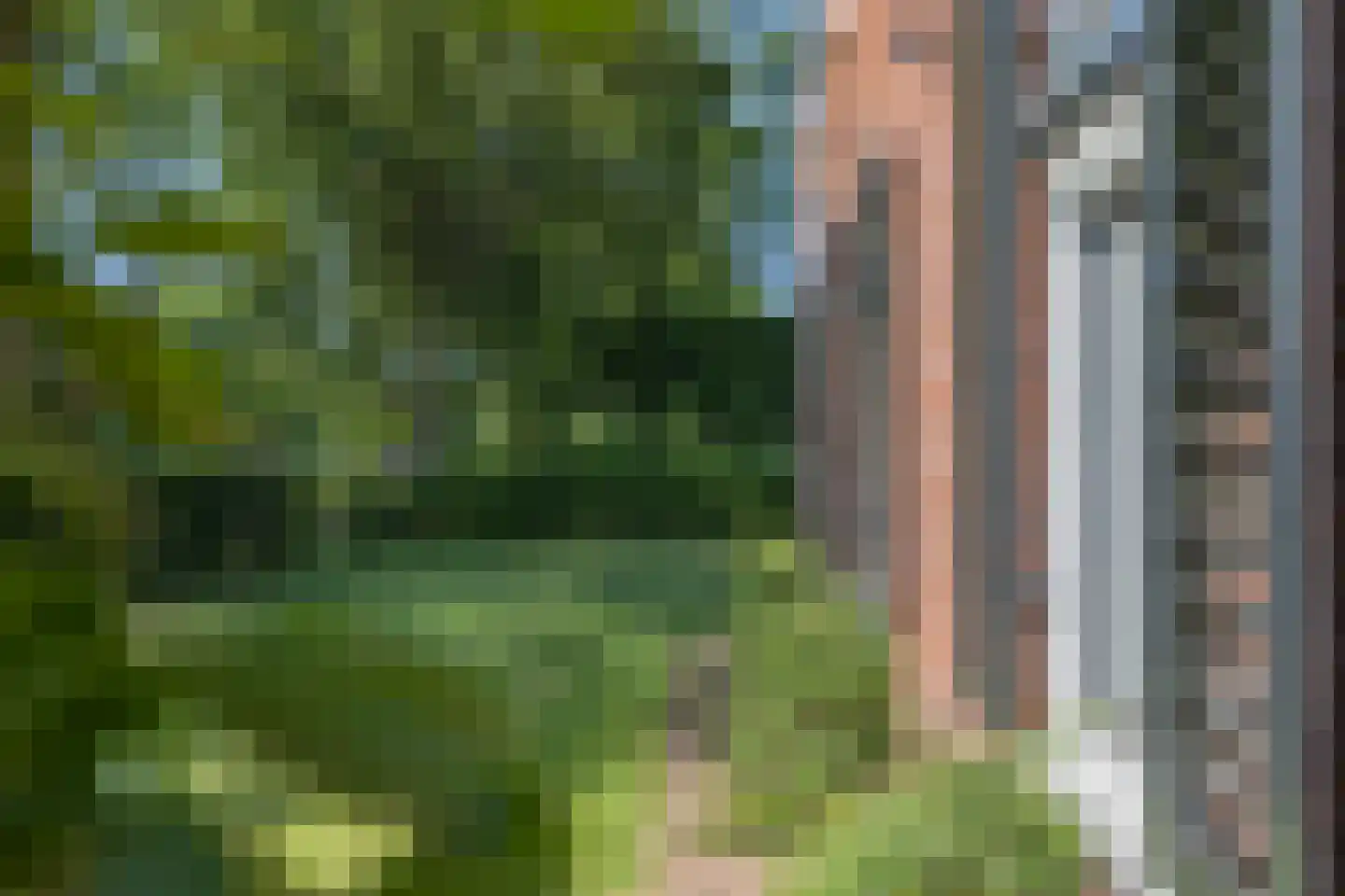 Gasselterstraat 3 Bronnegerveen thumbnail 19