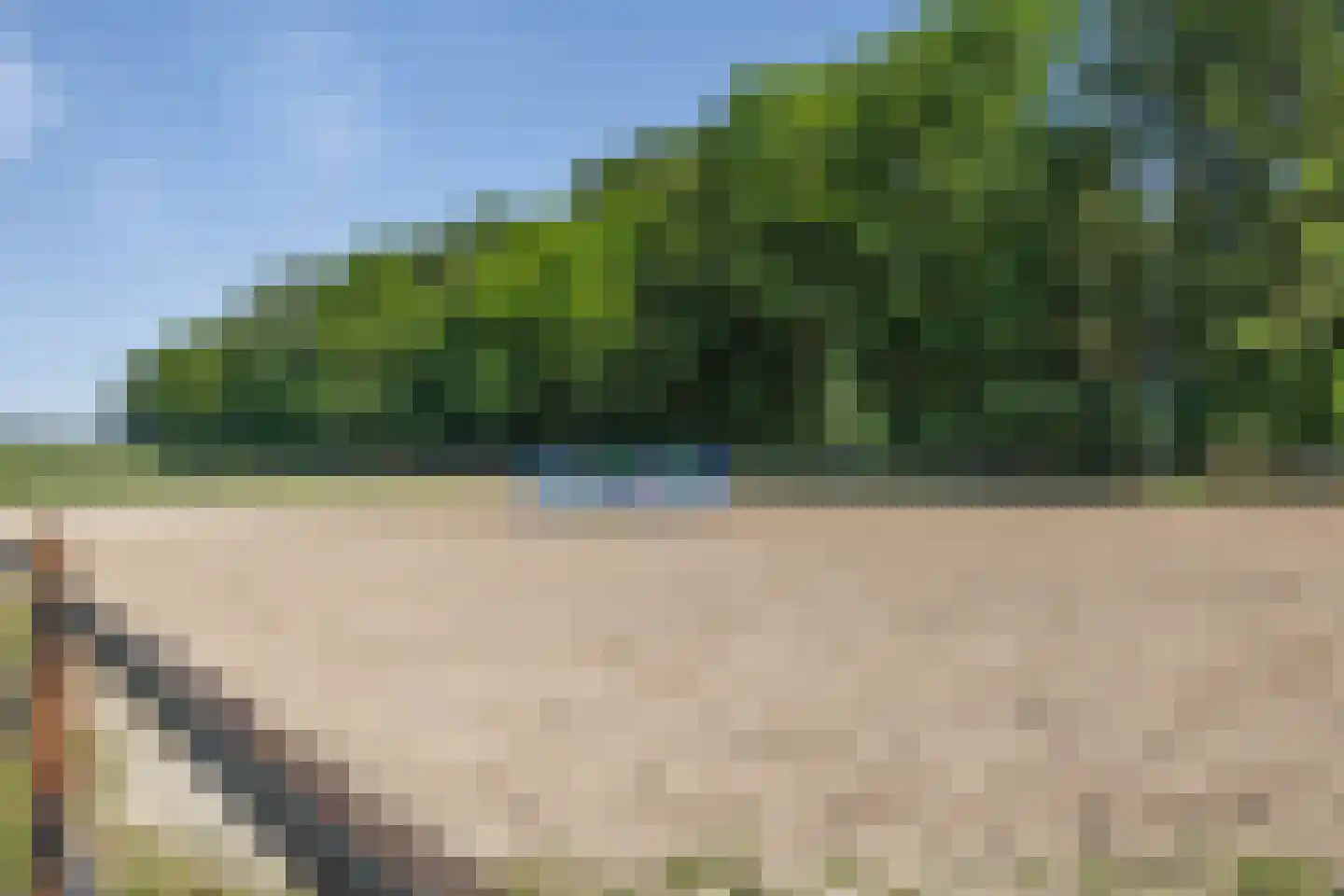 Gasselterstraat 3 Bronnegerveen thumbnail 22